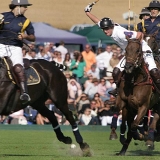 Photoscience - Polo and Wedding photographers in Hampshire Surrey and Sussex